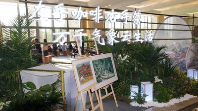 2024中国网络媒体论坛上“有一种叫云南的生活”圈粉