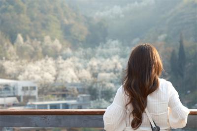 云南个旧：“梨花经济”点亮哨冲春色