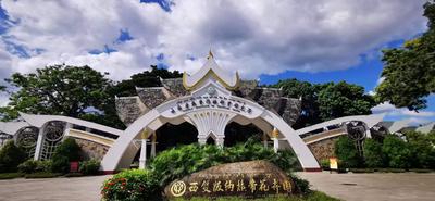 就在周末！西双版纳热带花卉园采摘季开始了！