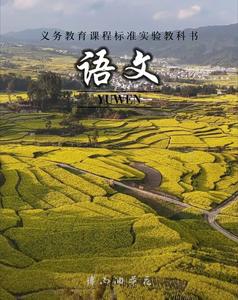就是它了！不小心在临沧拍到了语文课本封面