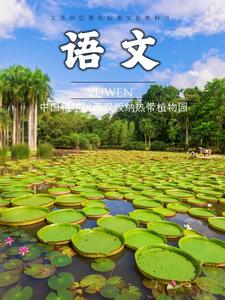 当“语文课本封面”遇上西双版纳，适配感拉满！