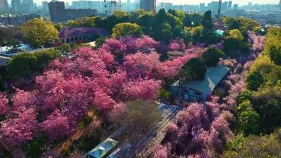 昆明市五华区：重点谋划大翠湖历史人文旅游圈