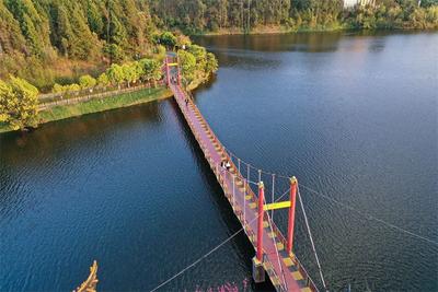 绿美景区建设丨双柏查姆湖：生态变美景，景区变乐园