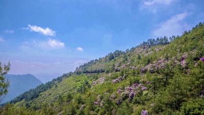 玉溪踏青赏春行丨趁春日，上春山！玉溪登高踏青的好去处