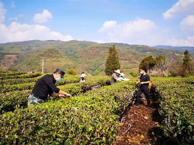 联云在岗30年 | 陈骏：扎根一线37年 以军人本色续写服务风采