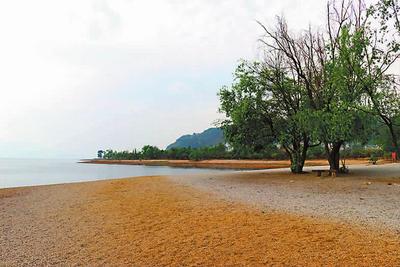 玉溪踏青赏春行丨抚仙湖畔网红景点约你来打卡
