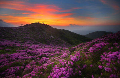 玉溪踏青赏春行丨趁春日，上春山！玉溪登高踏青的好去处