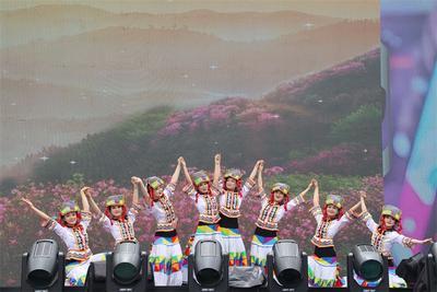 梦想“嘉”速度！楚雄文旅倾情亮相2024年上海汽车文化节