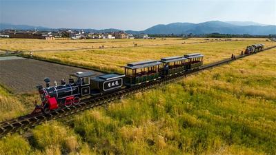 喜洲小火车“五一”即将上线！来喜洲坐小火车感受“风吹麦浪”田园美景