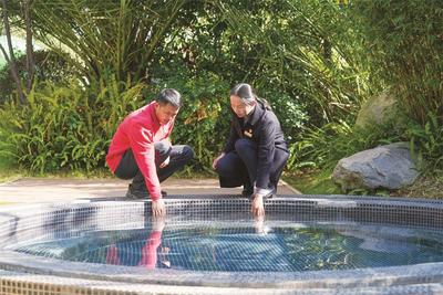 联云在岗30年 | 党志琼：发挥“传帮带”作用 赋能宾馆提质增效