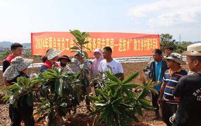 劳模服务走基层 农技赋能促振兴