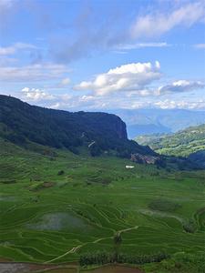 图集丨来看，红河夏日的梯田盛景