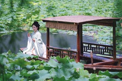 夏至丨一眼就惊艳！红河的夏天太“仙”啦！