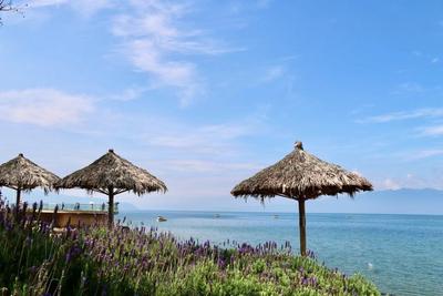 抚仙湖国家级旅游度假区丨夏游抚仙湖，来一场自然风光之旅