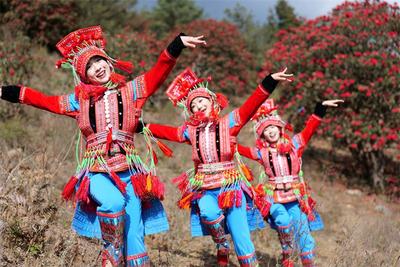 “马花”“缨花”任你“花”，唱歌跳舞当作门票花！