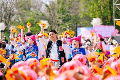 “马花”“缨花”任你“花”，唱歌跳舞当作门票花！