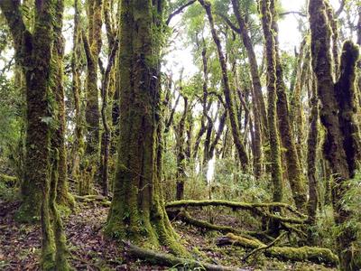 青山凤鸣、天蓝水绿！楚雄双柏生物多样性保护成效显著