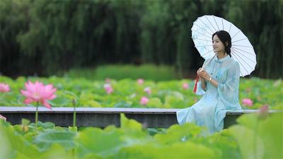 千亩荷塘、彩色稻田、向日葵花海……来楚雄遇见“治愈系”风景！
