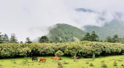 旅居彩云南丨楚雄山水秘境，胜却人间无数