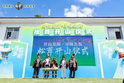 楚雄南华县五街镇举行“松茸开山仪式”