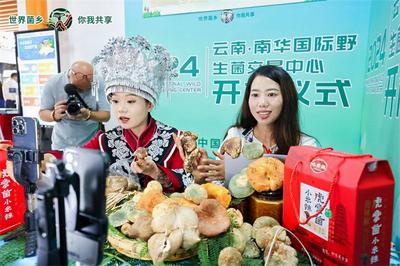 电商直播嘉年华 助力南华农特产品“走出去”