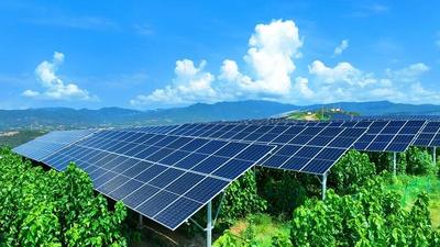 楚雄永仁：板下种桑 一地两用结“双果”