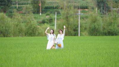 千亩荷塘、彩色稻田、向日葵花海……来楚雄遇见“治愈系”风景！
