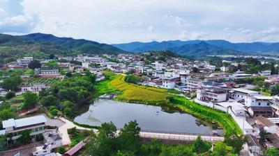 旅居彩云南丨到楚雄永仁农场，开启一段向日葵下的垂钓之旅