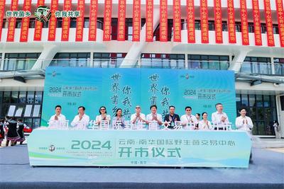 全网曝光量超2250万！云南·南华国际野生菌交易中心开市运营