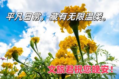 【晚安夜读】9月26日文旅要闻速览！