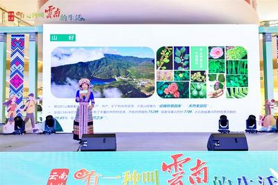 有一种叫云南的生活丨​红河屏边文旅推介走进川渝湘