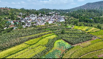 禄丰市金山镇第五届丰收节暨乡村文化旅游节举行