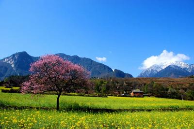 2024年贡山文旅短视频作品征集活动官宣了！