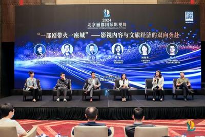 2024北京丽都国际影视周丨圆桌论坛热议《去有风的地方》
