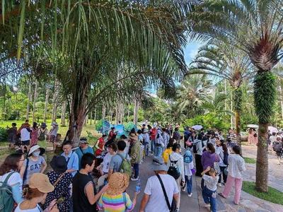 多样云南 多彩服务：文旅志愿服务助力云南旅游市场持续火爆