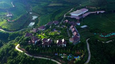 临沧荣康达乌龙茶庄园，康养旅游的人间天堂