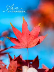 “最云南”·玩转红河丨来红河捡个“秋”吧！