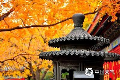 网络中国节·重阳 | 古诗词里的重阳况味