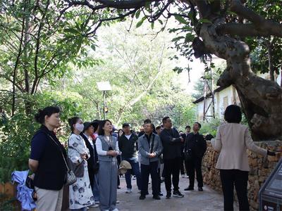 红河州文化和旅游局开展“红心向党·文旅同行”2024年第四季度党组织轮值活动