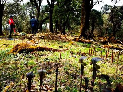 重阳登高望远，临沧这份登山徒步指南请收藏→