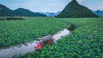 【云新发布】充分发挥生态旅游资源优势 持续扩大“有一种叫云南的生活”品牌知名度和美誉度