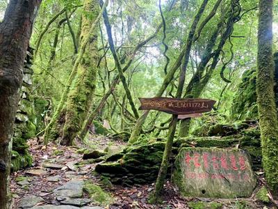 康旅玉溪 疗愈之地丨细数新平哀牢山的文物保护单位