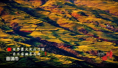 “云贵五城”文旅联盟成立 携手促进区域发展