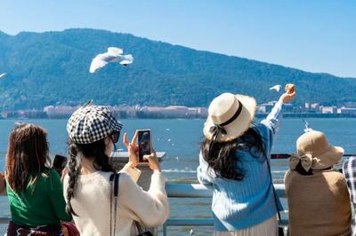 11月1日 滇池黄金岸线旅游巴士正式运营！