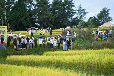 玛御谷温泉小镇：康养旅居与乡村振兴高质量融合发展