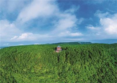 楚雄永仁：我为宜居永仁代言