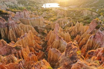 【云新发布】冬游旅居好去处，“中国火城·浪漫花都”楚雄等您来！
