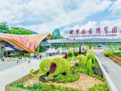 如何将文旅流量变“留量”？华侨城云南公司这样做