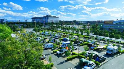【云新发布】冬游旅居好去处，“中国火城·浪漫花都”楚雄等您来！