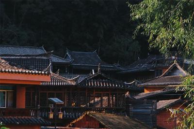 旅居普洱丨探寻文化之韵 尽享养生温泉 诗意栖居西南绿洲